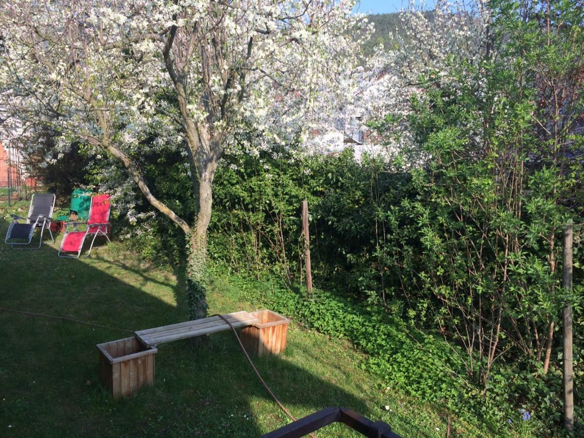 Schones Zimmer In Gimmeldingen/ Konigsbach Neustadt an der Weinstraße 외부 사진